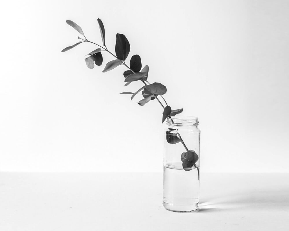 Blog 1 TR